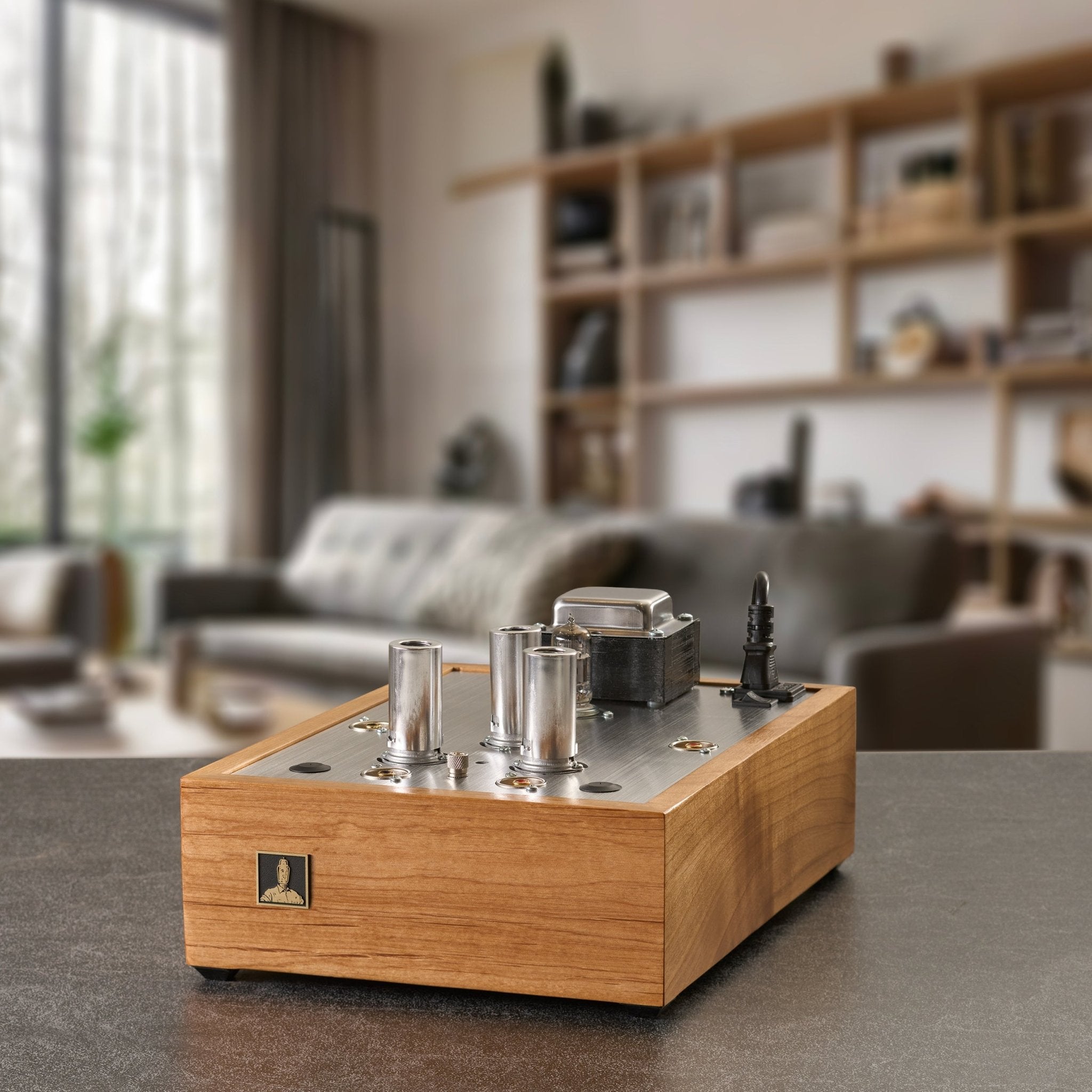Bottlehead Eros 2 Phono Preamplifier Kit - Bottlehead