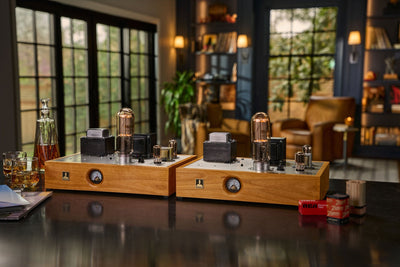 Bottlehead Paradyne monoblocks with vinyl records, some whiskey in glasses, and tube boxes.
