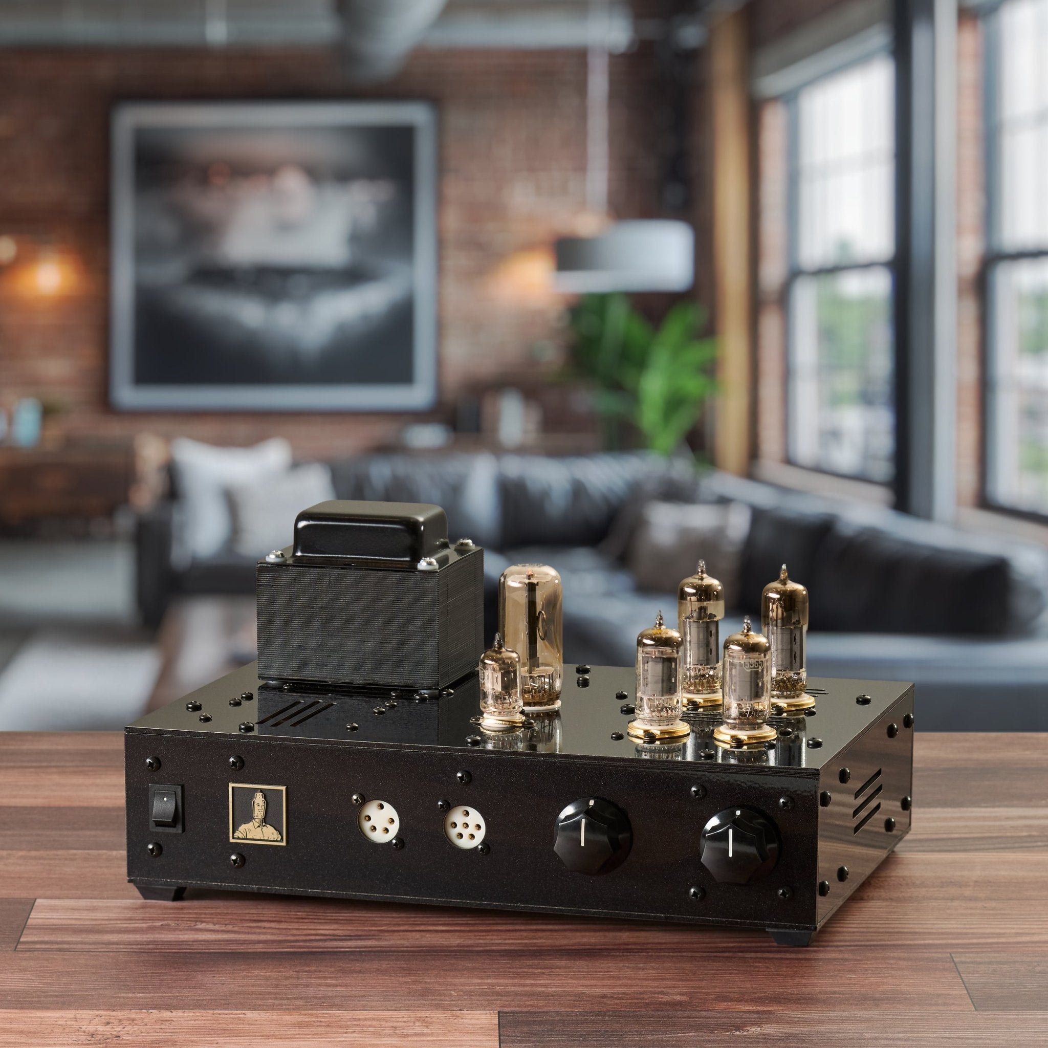 Stat Electrostatic Headphone Energizer - Bottlehead