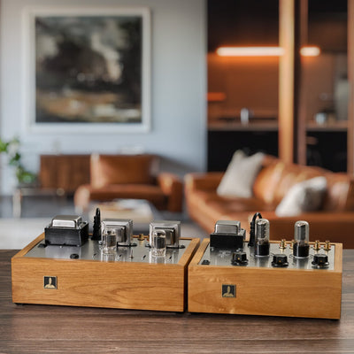 The Bottlehead MoreSEX System - Bottlehead