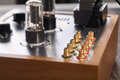 The Bottlehead MoreSEX System - Bottlehead